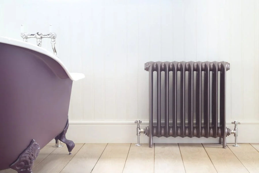Antique Princess Cast Iron Radiator